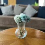 Le Saphir De - Chic Et Elegant Apartment *