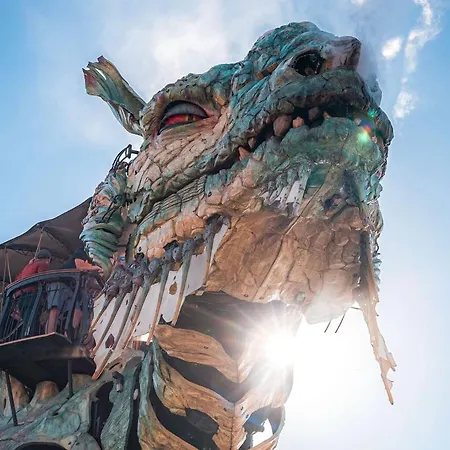 Le Saphir De - Chic Et élegant